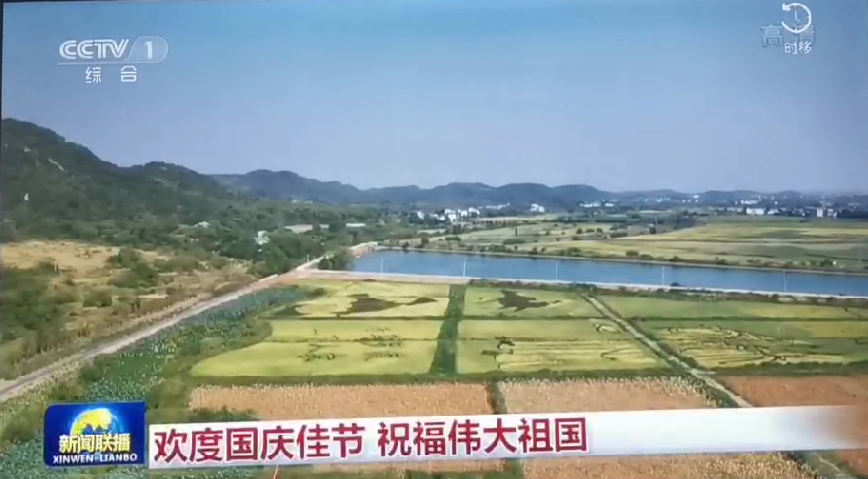 上央视-庄闲和游戏五彩稻田画，助力乡村振兴